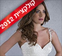 נינה דבש 2012: גווני שמפניה תוססים